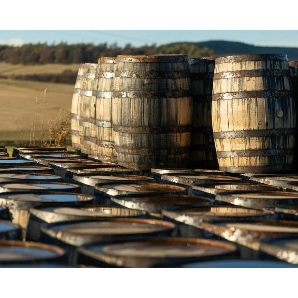The Cold Plunge Barrel